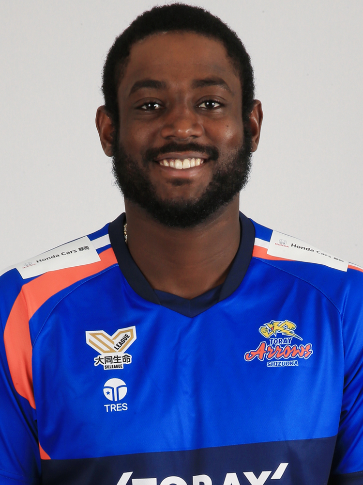 東レアローズ静岡 チーム・選手 | 公益社団法人SVリーグ/一般社団法人