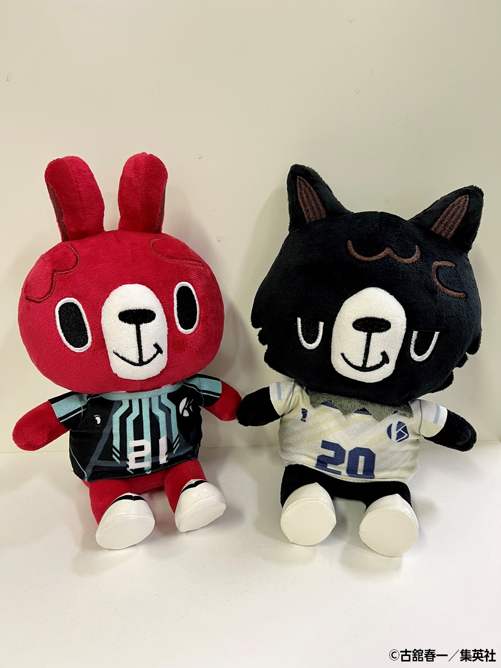 アニメ『ハイキュー!!』×V.LEAGUEコラボビジュアルや