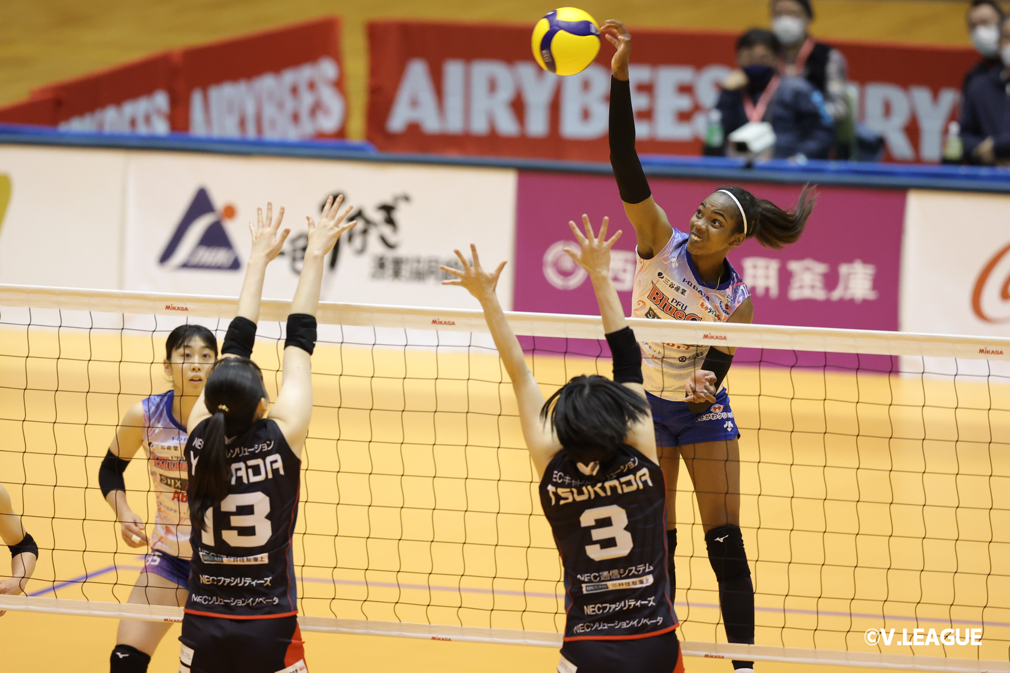 V1女子】今週の見どころ（1/14-1/15） ニュース | 公益社団法人SV